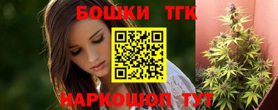 индика Комсомольск-на-Амуре