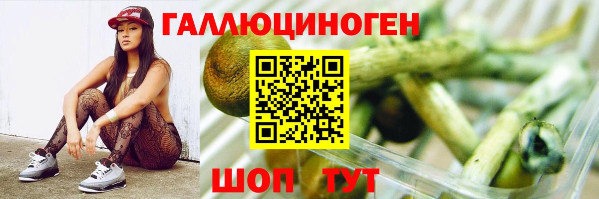 Псилоцибиновые грибы Cubensis  Галлюциногенные грибы Psilocybe  Гуково  Вход с VPN 